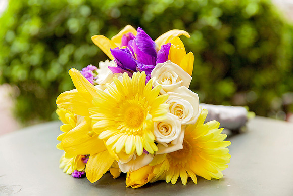 Scales Wedding_MG_7412