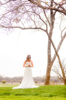 Lori Arnold Bridals_MG_0235-c