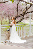 Lori Arnold Bridals_MG_0220-c