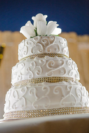 Acuna Wedding_Cola Photography744