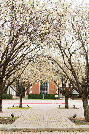 7d_Brownlow Wedding_MG_0211