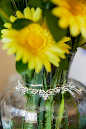 Scales Wedding_MG_7485