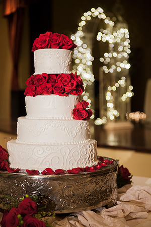 Lancaster Wedding _MG_3151