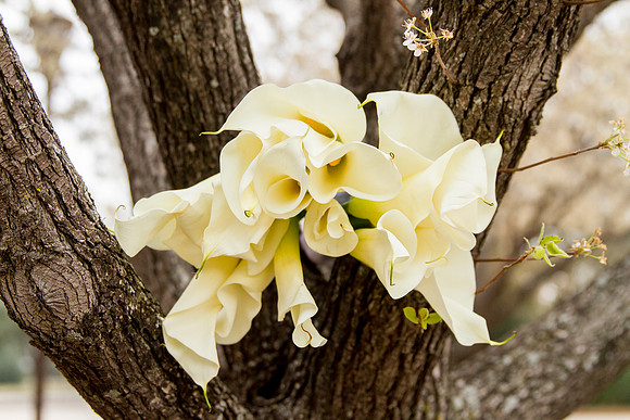 7d_Brownlow Wedding_MG_0217
