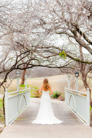 Lori Arnold Bridals_MG_0215-c